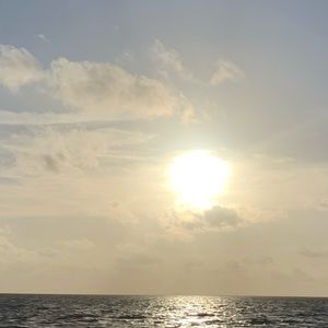 Meet your Posher, Elsha